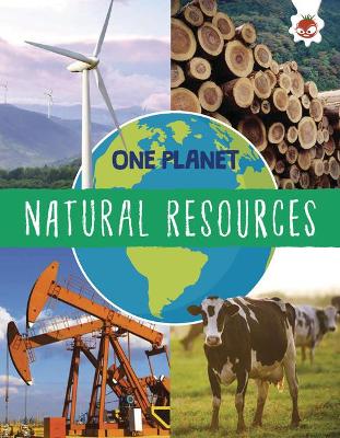 Book cover for Natural Resources