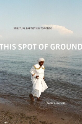 Cover of This Spot of Ground