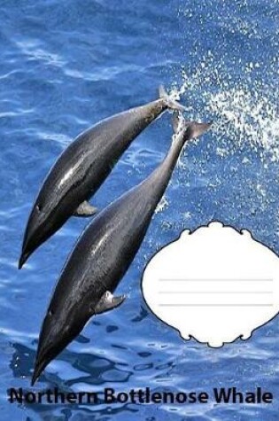 Cover of Northern Bottlenose Whale Wide Ruled Line paper Composition Book