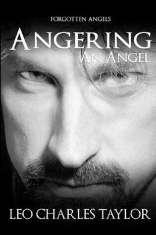 Cover of Angering an Angel