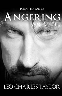 Book cover for Angering an Angel