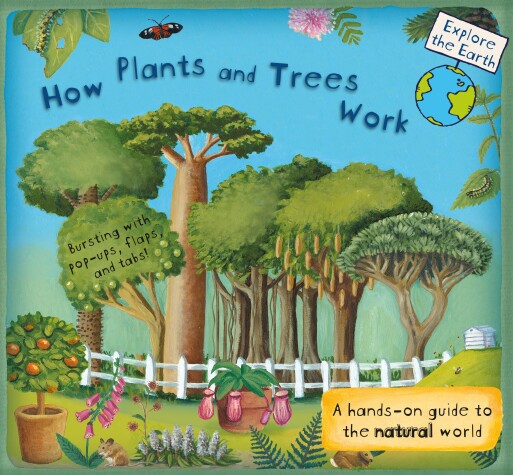 Book cover for How Plants and Trees Work