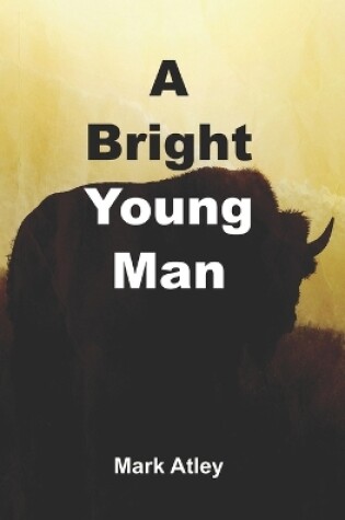 Cover of A Bright Young Man