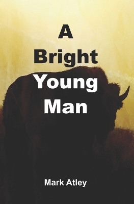 Book cover for A Bright Young Man