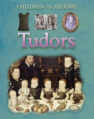 Book cover for Tudors