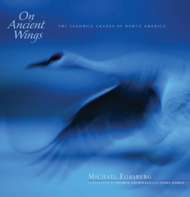 Book cover for On Ancient Wings