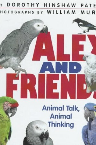 Cover of Alex and Friends