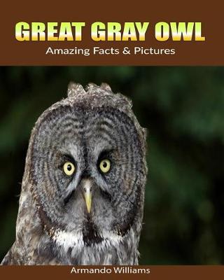 Book cover for Great Gray Owl