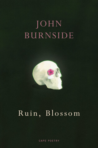 Cover of Ruin, Blossom