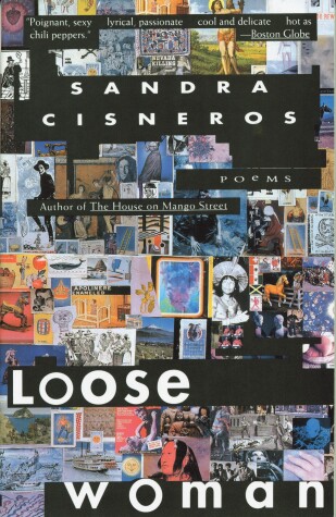 Book cover for Loose Woman