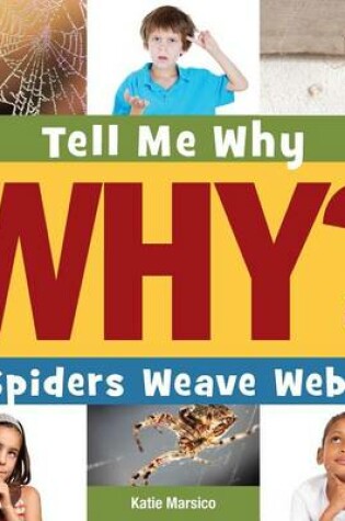 Cover of Spiders Weave Webs