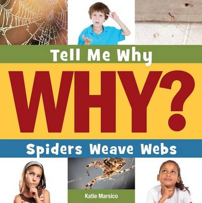 Book cover for Spiders Weave Webs
