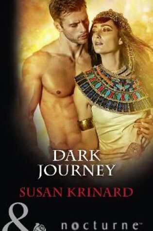 Cover of Dark Journey