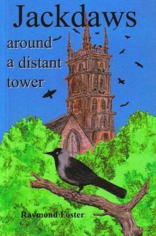 Cover of Jackdaws Around a Distant Tower