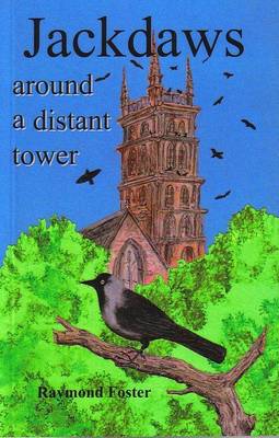 Book cover for Jackdaws Around a Distant Tower