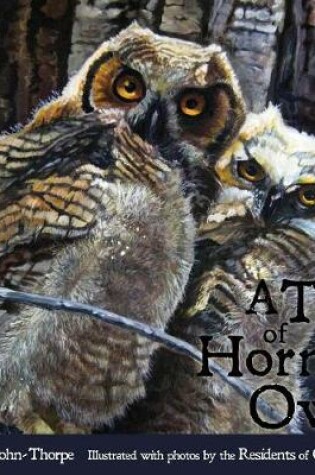 Cover of A Tale of Horned Owls