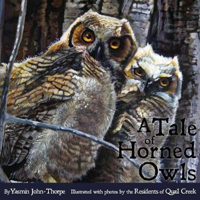 Book cover for A Tale of Horned Owls