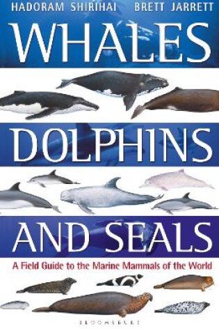 Cover of Whales, Dolphins and Seals