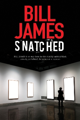 Book cover for Snatched
