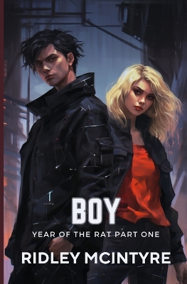 Book cover for Boy