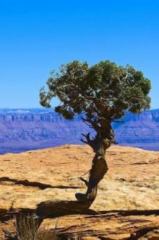 Cover of A Lone Juniper Tree in Canyonlands National Park Utah, USA Journal