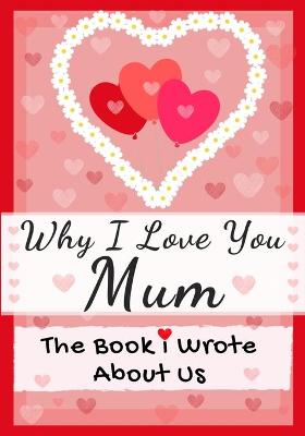 Book cover for Why I Love You Mum