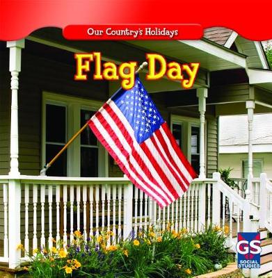 Book cover for Flag Day