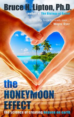 Book cover for The Honeymoon Effect