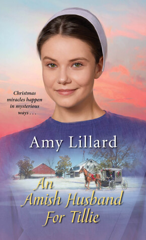 Cover of Amish Husband for Tillie