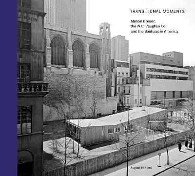 Book cover for Transitional Moments