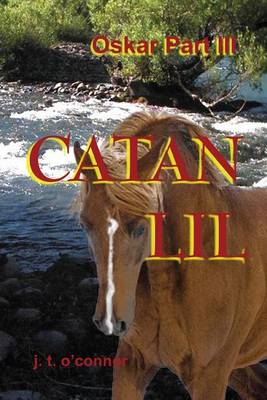 Book cover for Catan Lil