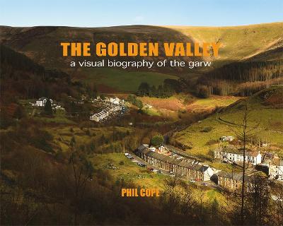 Book cover for The Golden Valley