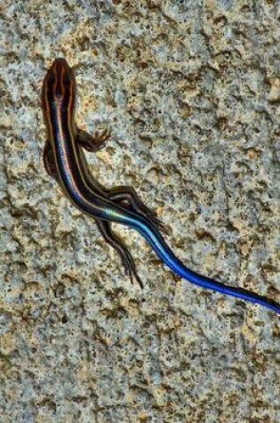 Cover of A Blue Tailed Skink