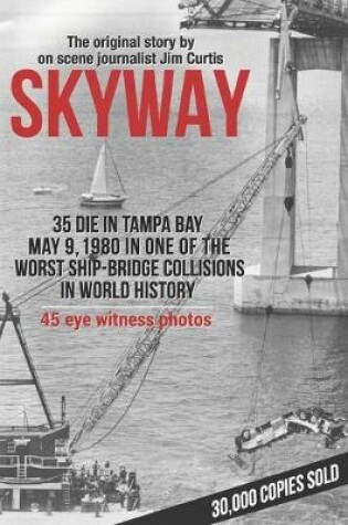 Cover of Skyway