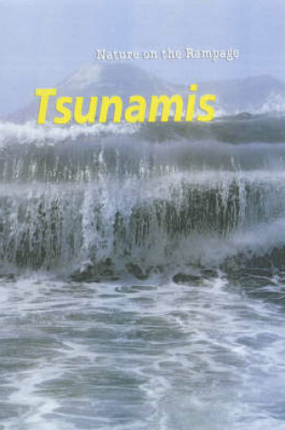 Cover of Nature on the Rampage: Tsunamis