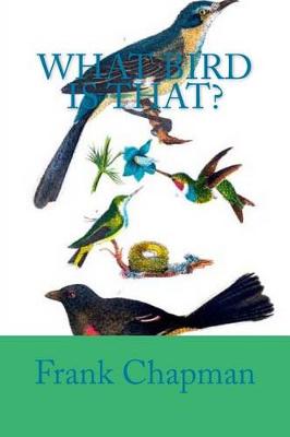 Book cover for What Bird is That?