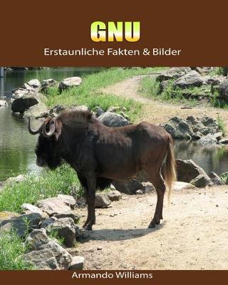 Book cover for Gnu