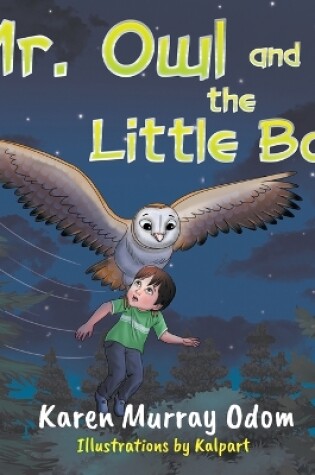 Cover of Mr. Owl and the Little Boy