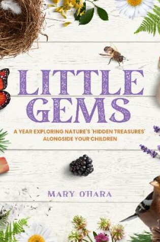 Cover of Little Gems