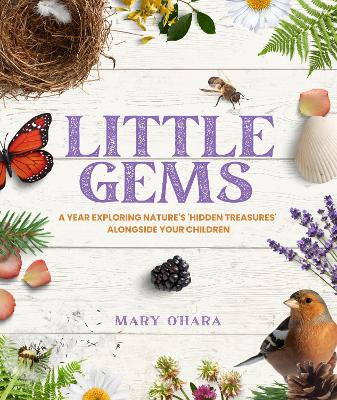 Book cover for Little Gems