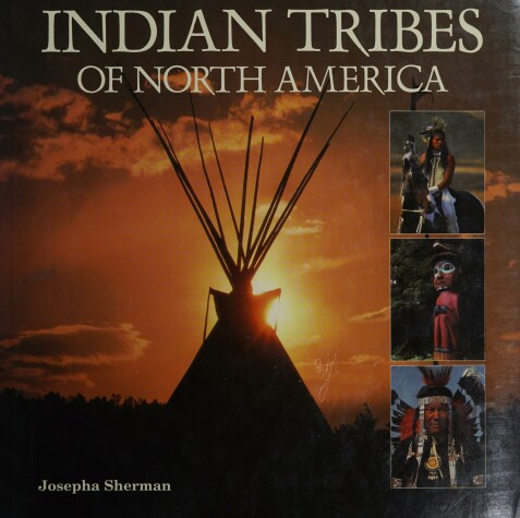 Book cover for Indian Tribes N America