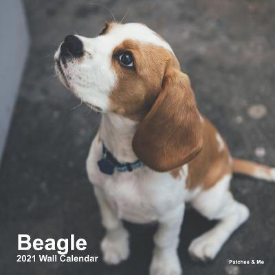 Book cover for Beagle