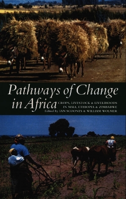 Book cover for Pathways of Change in Africa
