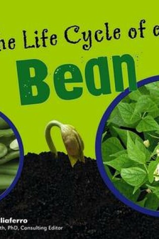 Cover of The Life Cycle of a Bean