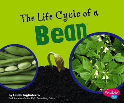 Book cover for The Life Cycle of a Bean