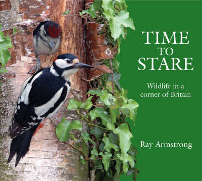 Book cover for Time to Stare