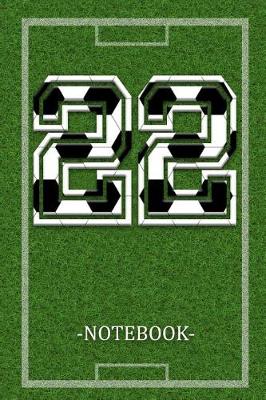Book cover for Notebook 22