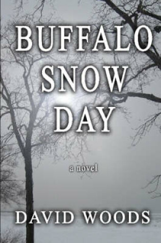 Cover of Buffalo Snow Day