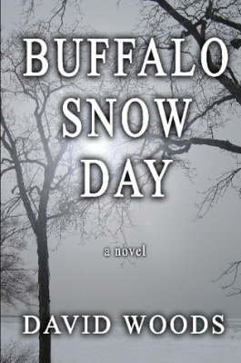 Book cover for Buffalo Snow Day