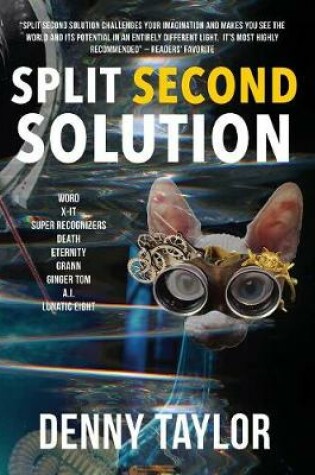 Cover of Split Second Solution